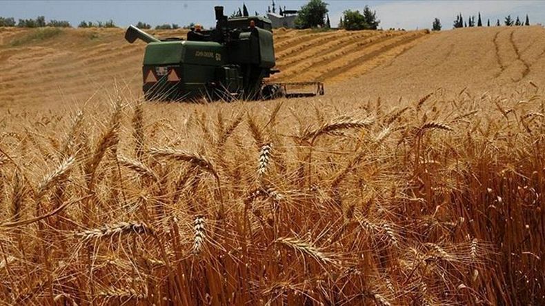 Buğday ithalatının maliyetinde büyük artış