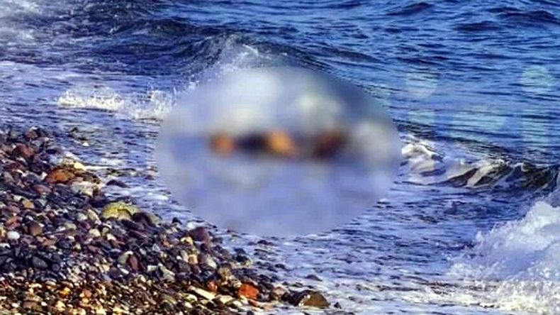 Ege’de facia! Cansız bedenleri kıyıya vurdu
