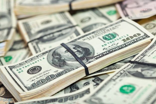 Merkez Bankası döviz rezervi bir haftada 2,5 milyar dolar eridi