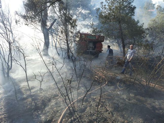 Soma'da orman yangını