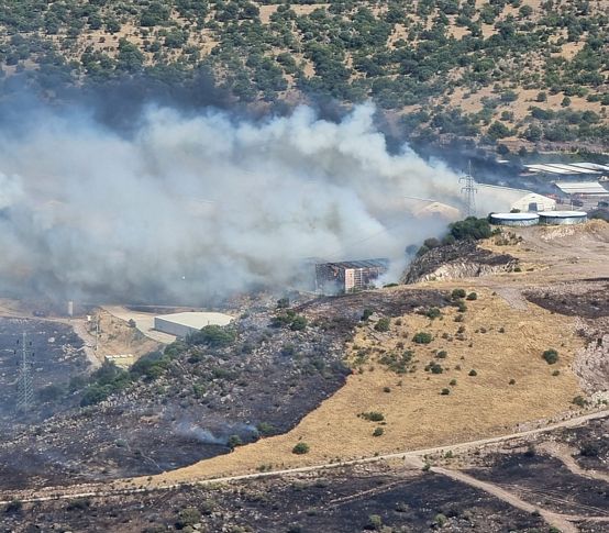 Bergama’daki yangın kontrol altına alındı