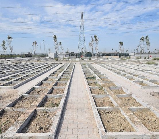 İzmir’in ilk hayvan mezarlığında doluluk oranı yüzde 35’e ulaştı