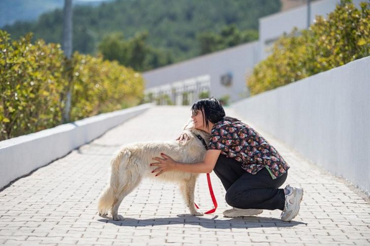 Önce tedavi ettiler sonra sahiplendiler