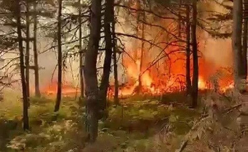 Tokat'ta karaçam ormanında yangın