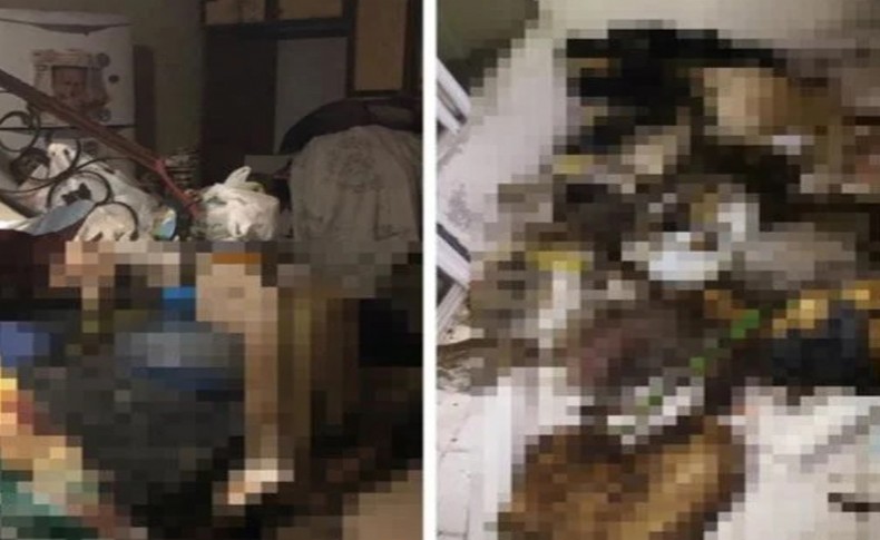 Muğla'da dehşet! Çok sayıda kedi ve köpek ölüsü bulundu