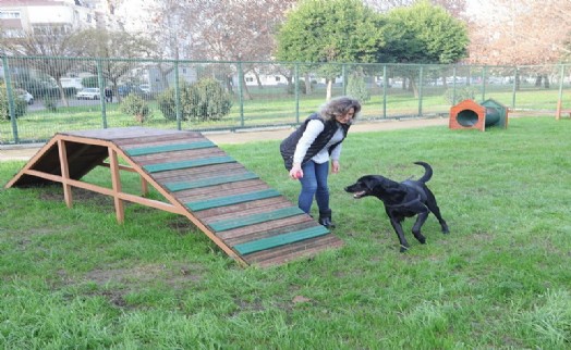 Evcil hayvanlar için ‘Pati Park'