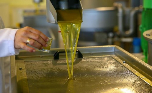 Yeni Şakran'ın aromatik zeytinyağları sofralardaki yerini alıyor