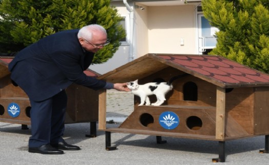 Karabağlar'ın 2023 yılı kedi evleri hazır