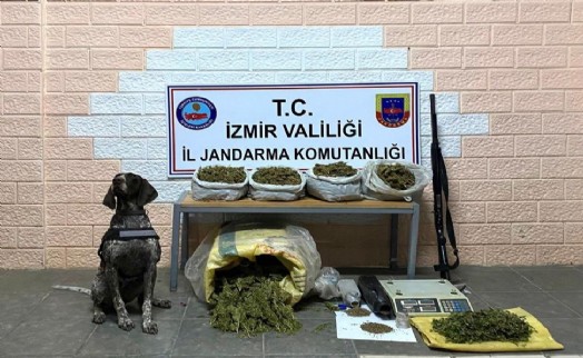 İzmir'de zehir tacirlerine ‘kökünü kurutma operasyonu: 59 gözaltı