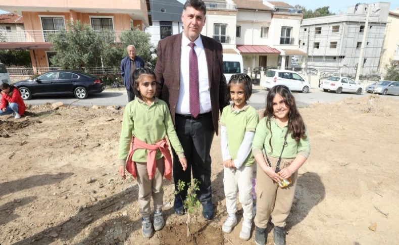 Menderes sakız ağaçlarıyla süslenecek