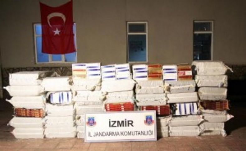 Saman balyası altında 50 bin paket kaçak sigara