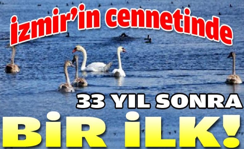 33 yıl sonra bir ilk...