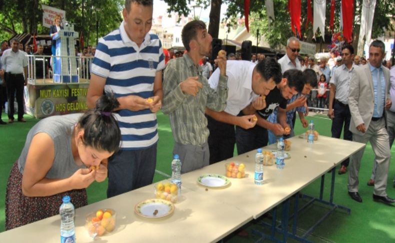 ‘40. Kayısı kültür ve Sanat Festivali’ törenle başladı