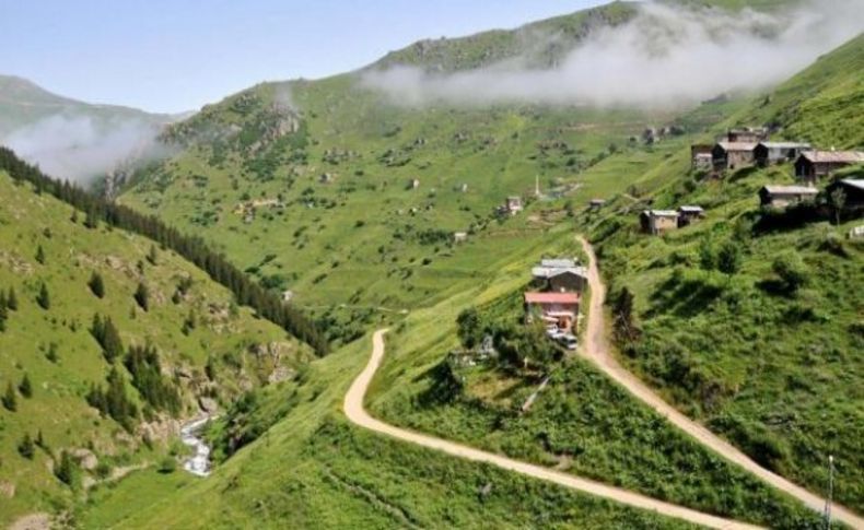 Danıştay'dan 'Yeşil Yol' için flaş karar