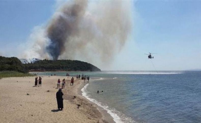 Gelibolu'da orman yangını: Akıllara 1994 geldi