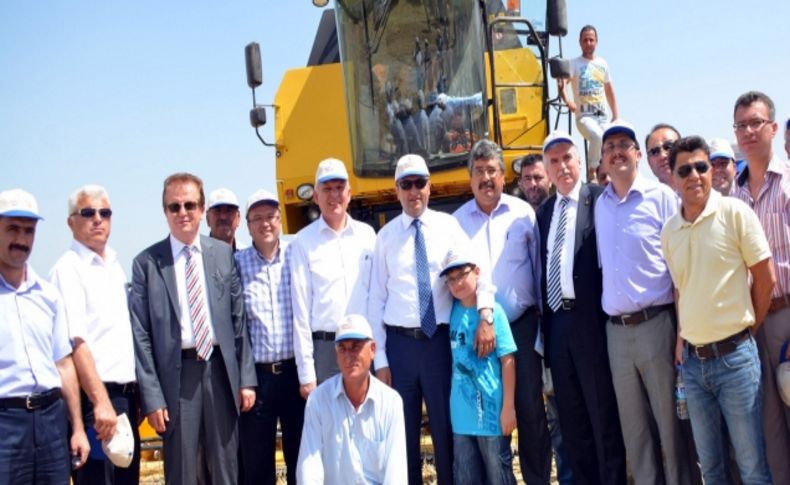 5 yılda geliştirilen 'İnci 20' buğdayı görücüye çıktı