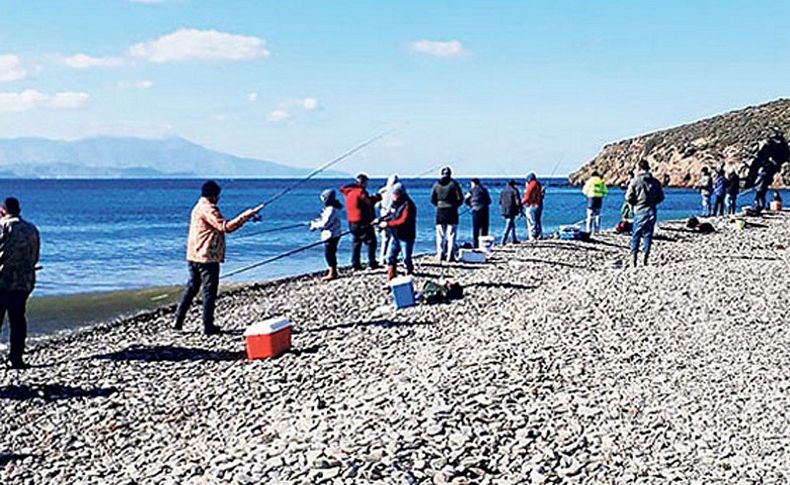 80 ton çipura ve levrek kaçtı! Olta tutkunları oraya akın etti