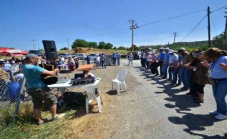 Foça'da 'Yırca Zeytin Bahçesi' halaylara oluşturuldu