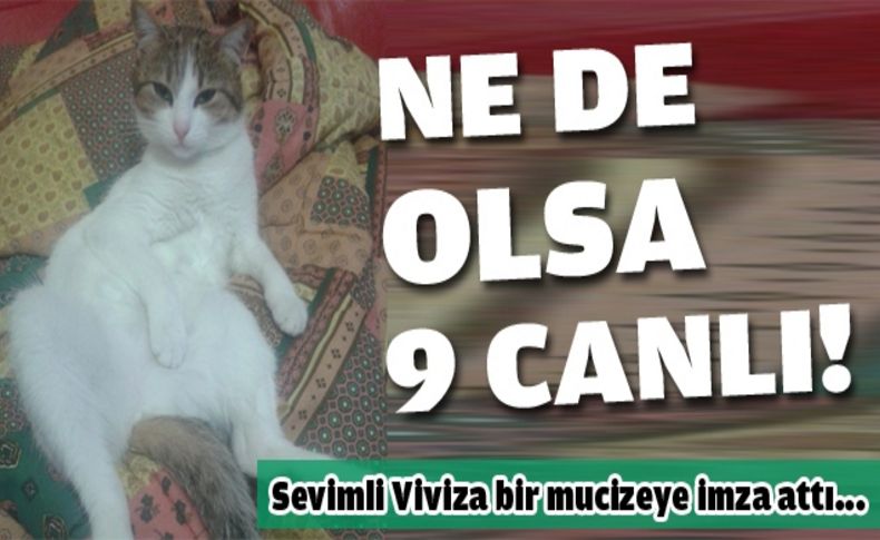 8. kattan düştü ama sapasağlam!