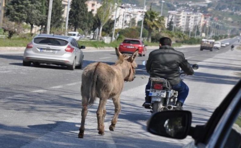 Bu görüntü cezasız kalmadı