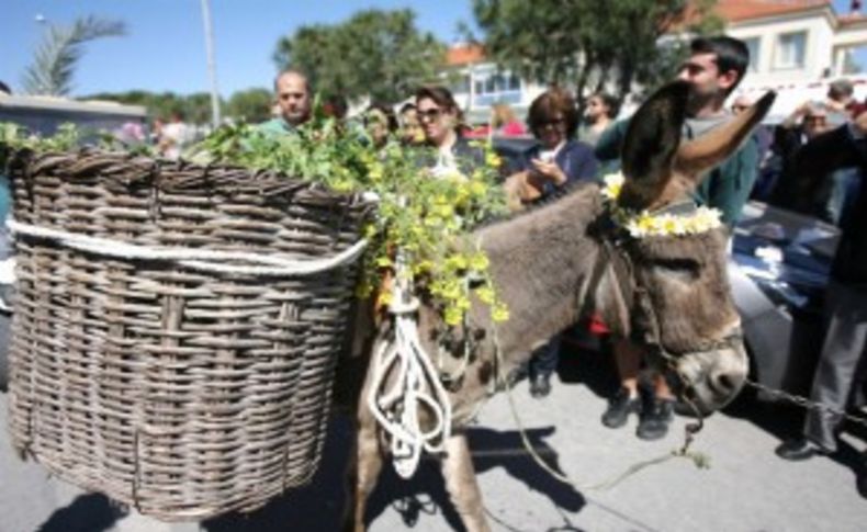 Alaçatı 5.ot festivali ile cıvıl cıvıl