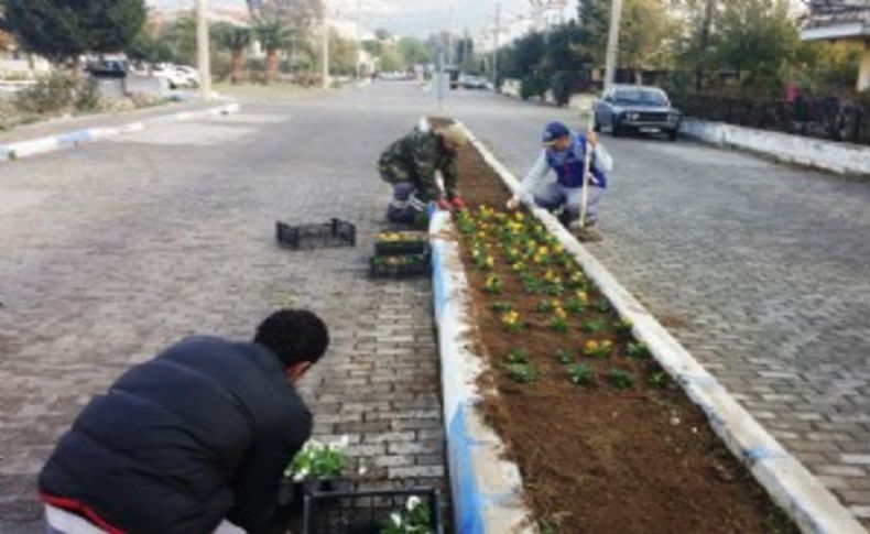 Foça çiçekleniyor