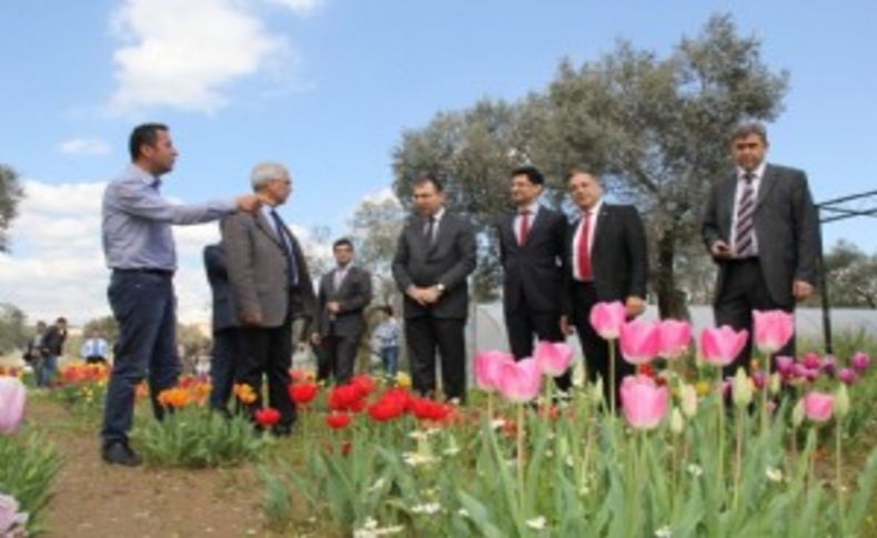 Bayındır'da gündem çiçekçilik