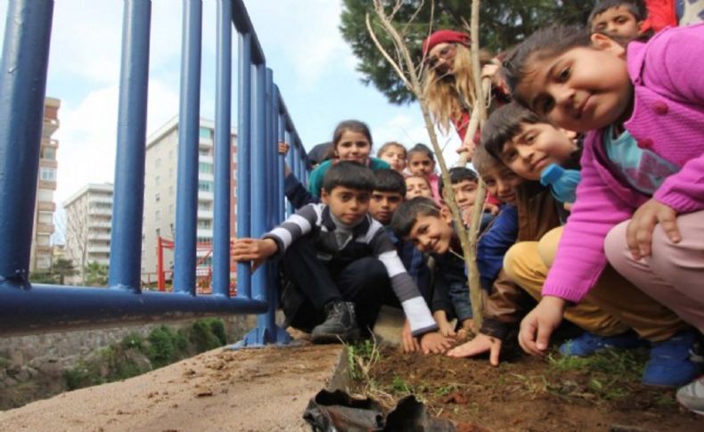 Ağaç katliamına Narlıdere'den 'Nar'lı tepki