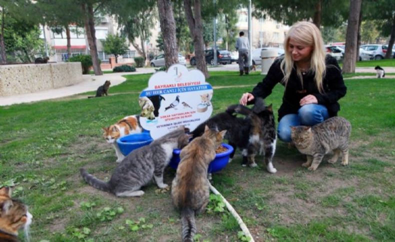 Bayraklı Belediyesi sevimli dostları unutmadı