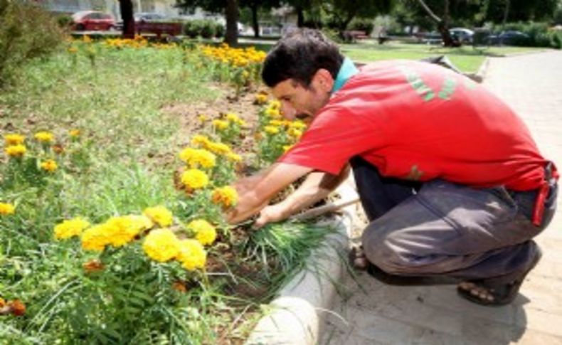 2015’te hedef 10 bin ağaç 