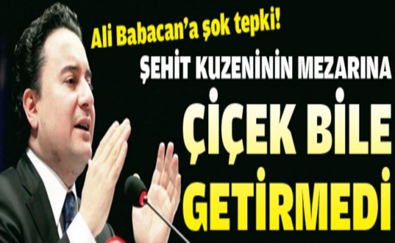 Açılım Babacan ailesini böldü