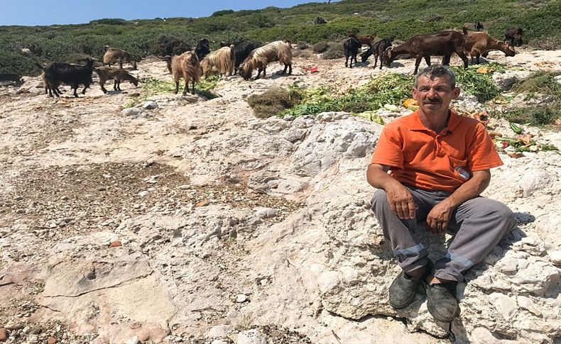 Adadaki keçilere 20 yıldır bakıcılık yapıyor