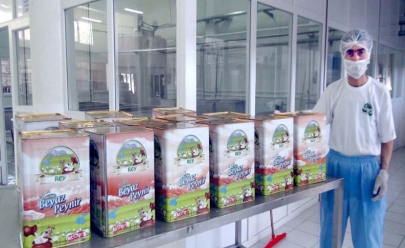 Adilcevaz’da kurulan süt fabrikası istihdama büyük katkı sağlıyor
