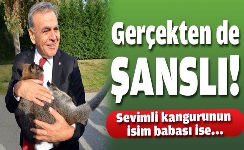 Adını “Şanslı” koydu