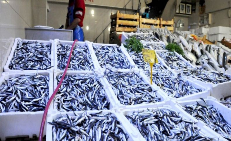 Ağlar hamsiyle dolunca fiyat 10 liradan 3 liraya düştü