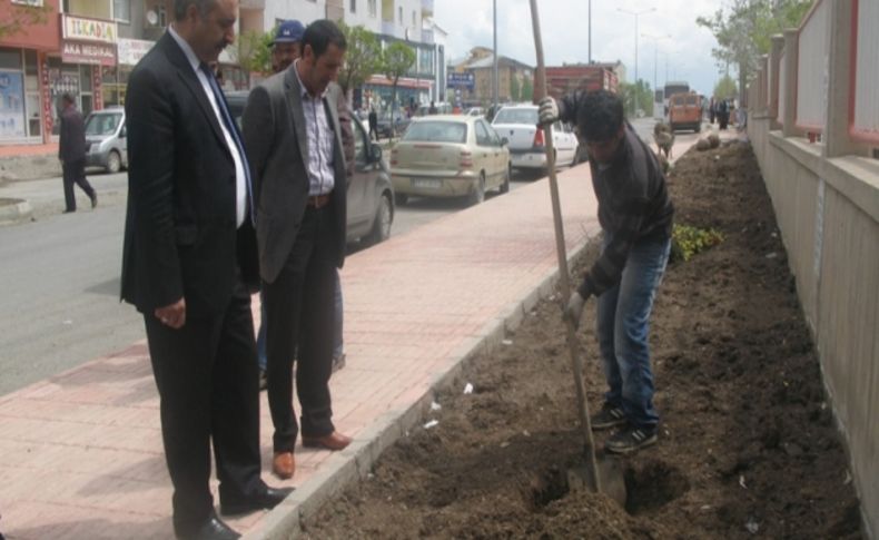 Ağrı Belediyesi yaz dönemi çalışmalarına hız verdi