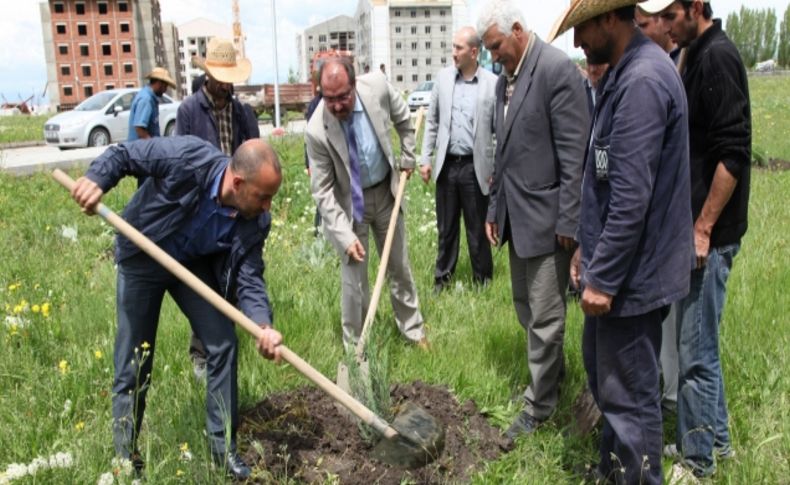 Ağrı İbrahim Çeçen Üniversitesi'ne bin fidan dikildi