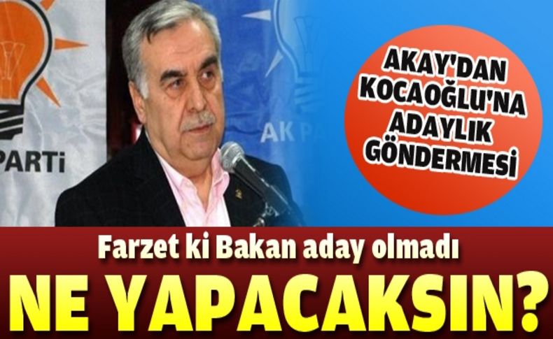 AK Parti İl Başkanı Akay: Binali Bey farzet ki aday olmadı, ne yapacaksın'