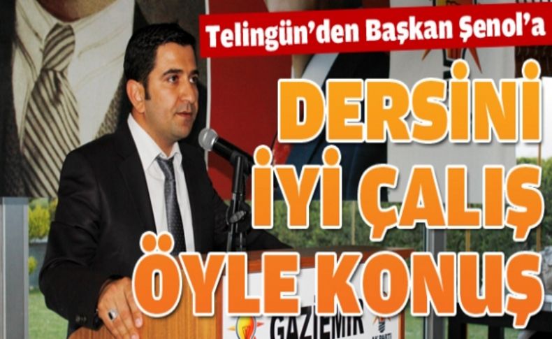 AK Partili Telingün'den Başkan Şenol'a salvo!