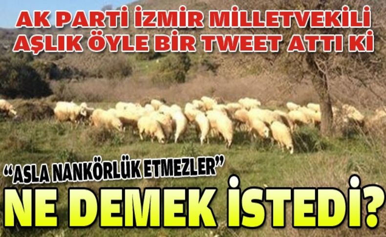 AK Parti'li vekilden manidar tweet!