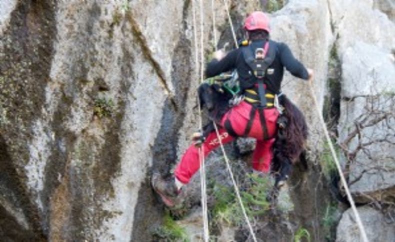 AKUT'tan keçi kurtarma operasyonu