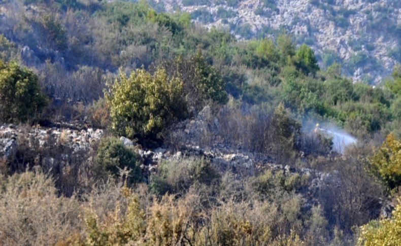 Alanya'da çıkan yangın evlere sıçramadan söndürüldü