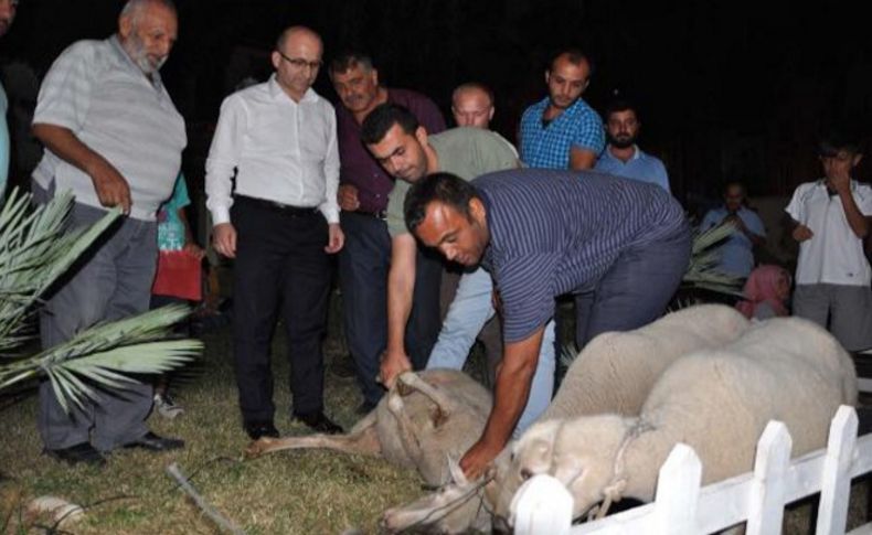 Aliağa'da şükür kurbanı kesildi