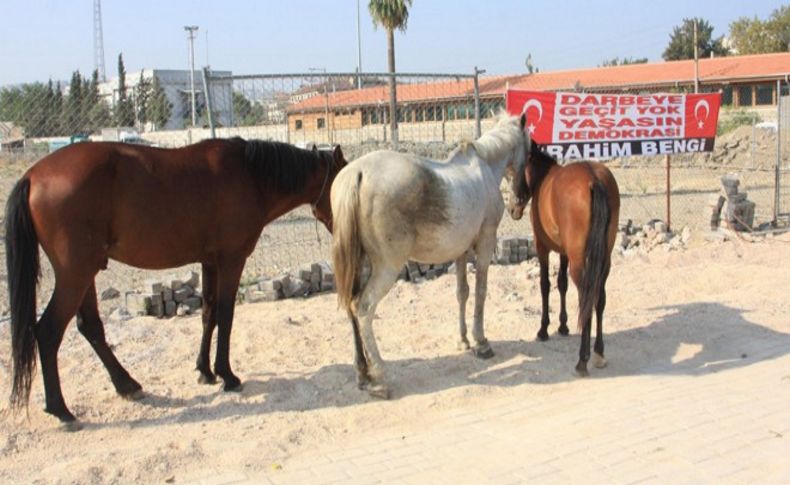 Alsancak'ta dört nala kabus