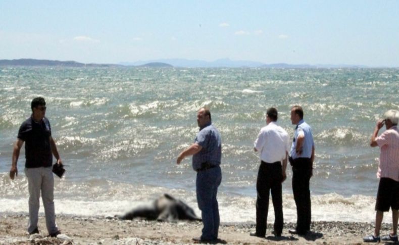 Altınkum sahilinde başı ve elleri olmayan ceset bulundu