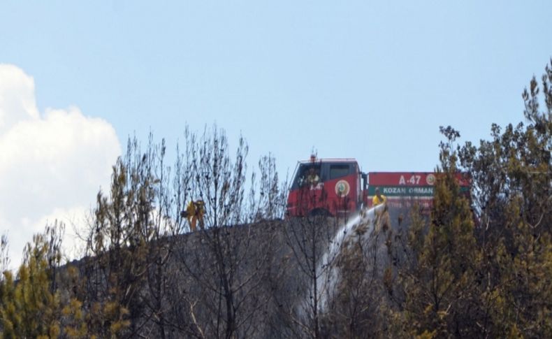 Anız ateşi orman yangınına neden oldu