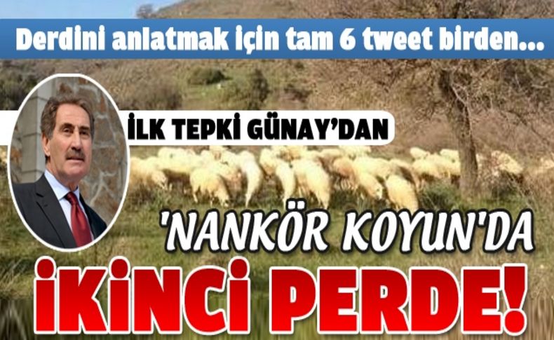 Aşlık'tan koyunlu mesaja 6 tweet ile açıklama