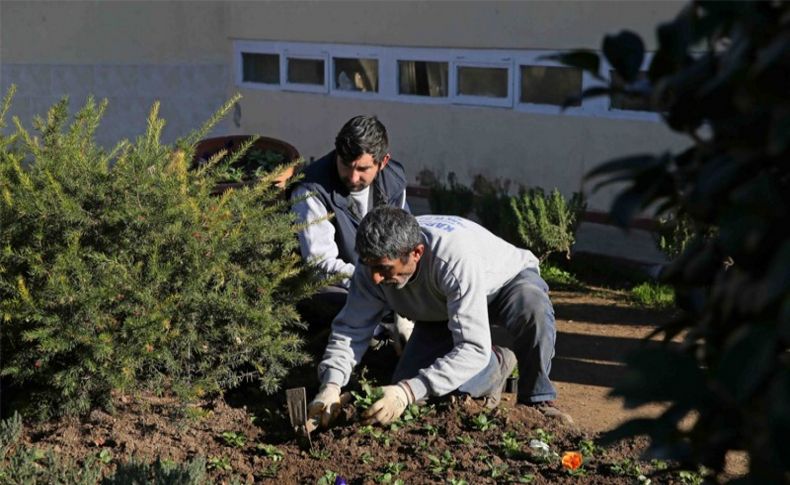 Bademler’in çiçeği Karşıyaka’da açıyor