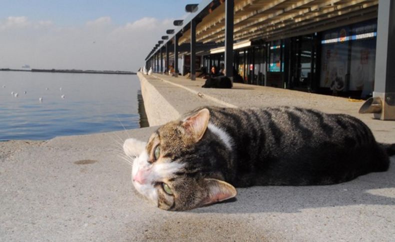 Dondurucu hava İzmir'i terk ediyor!