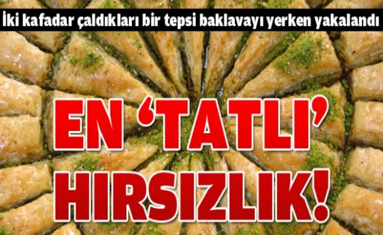 Baklava hırsızlarına suçüstü